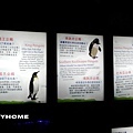 <香港海洋公園2013/3/2>