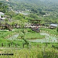 <內湖碧山巖+白石湖吊橋 2013/4/7>