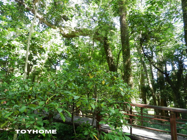 <台北植物園 2013/11/9>