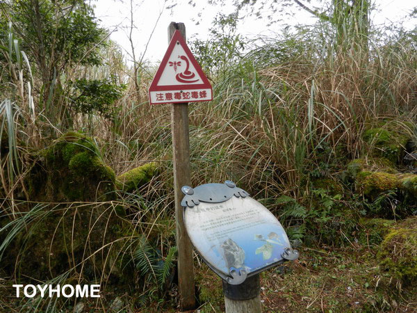 <太平山翠峰湖 2014/1/29>