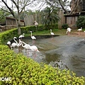 <新竹六福村主題樂園 2014/2/7>