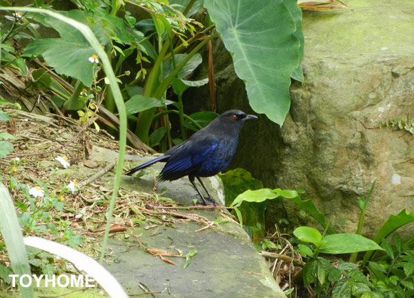 <遠望坑親子公園 2014/4/19>