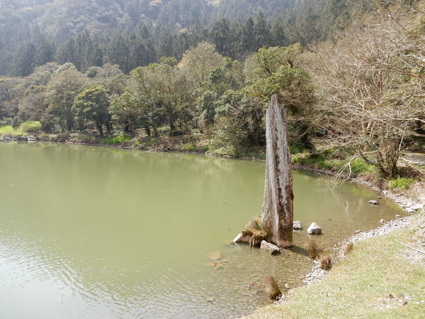 【遊記】宜蘭明池森林遊樂區 欣賞山中湖景 2016/4/2