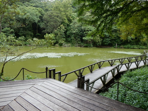 【遊記】宜蘭福山植物園 看到野生動物好興奮阿！ 2018/8