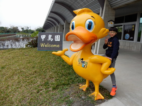 【旅遊】宜蘭礁溪甲鳥園 傳統鴨寮轉型的複合式養鴨農場 201