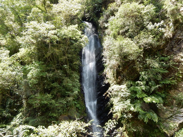 【旅遊】宜蘭大同九寮溪生態園區 終點可欣賞到戈霸瀑布美景 2