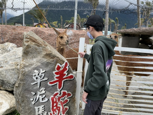 【旅遊】花東五天四夜戴著口罩趴趴走 行程規劃 2022/1/