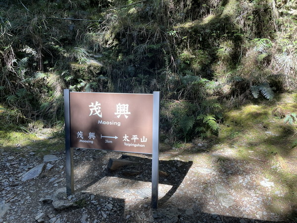 【旅遊】宜蘭太平山國家森林遊樂區 乘坐蹦蹦車悠遊在茂興懷舊步