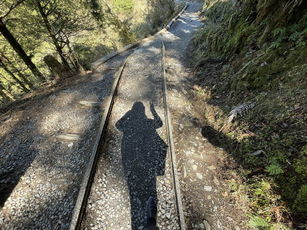 【旅遊】宜蘭太平山見晴懷古步道 踏著昔日運材軌道的軌跡 20