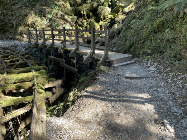 【旅遊】宜蘭太平山見晴懷古步道 踏著昔日運材軌道的軌跡 20