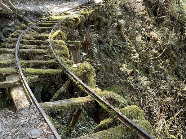 【旅遊】宜蘭太平山見晴懷古步道 踏著昔日運材軌道的軌跡 20