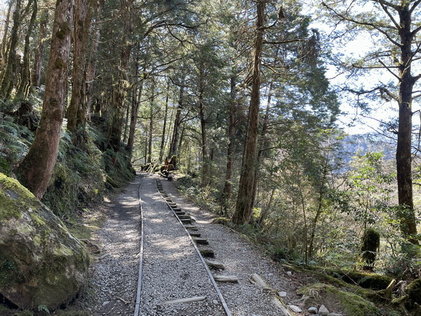 【旅遊】宜蘭太平山見晴懷古步道 踏著昔日運材軌道的軌跡 20