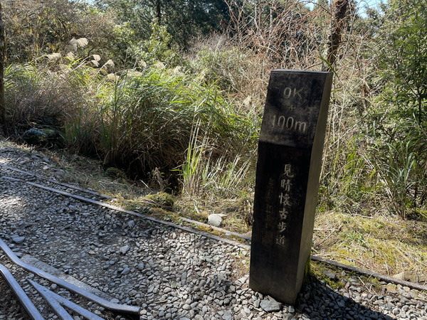 【旅遊】宜蘭太平山見晴懷古步道 踏著昔日運材軌道的軌跡 20