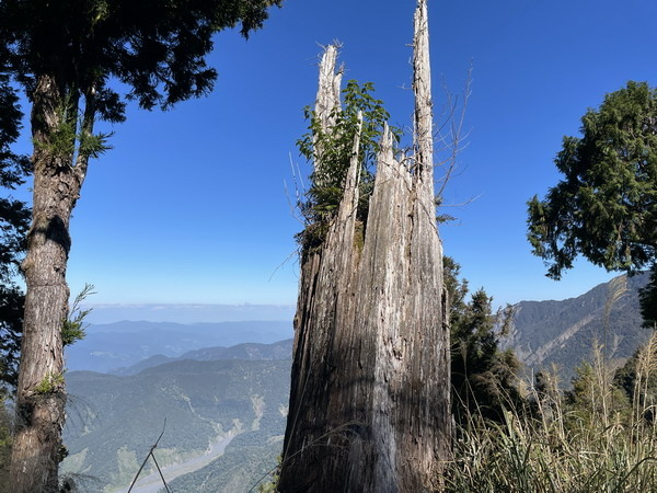 【旅遊】宜蘭太平山見晴懷古步道 踏著昔日運材軌道的軌跡 20