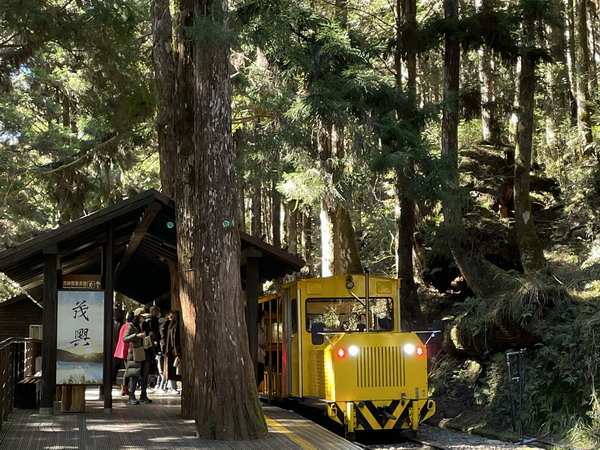 【旅遊】宜蘭太平山國家森林遊樂區 乘坐蹦蹦車悠遊在茂興懷舊步