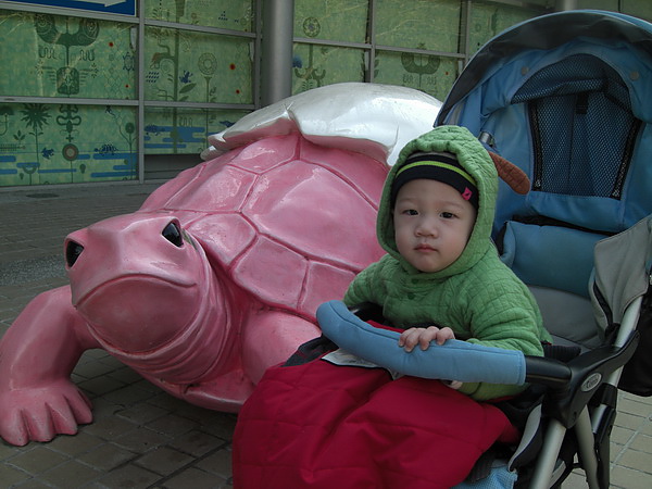 <台北市立動物園>