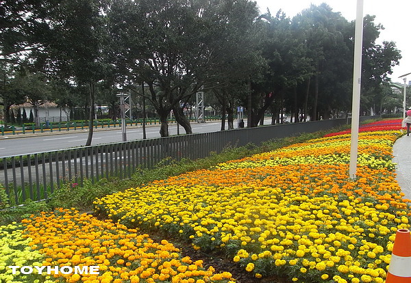 <台北國際花卉博覽會-園山公園區>