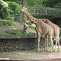 日本多摩動物園>