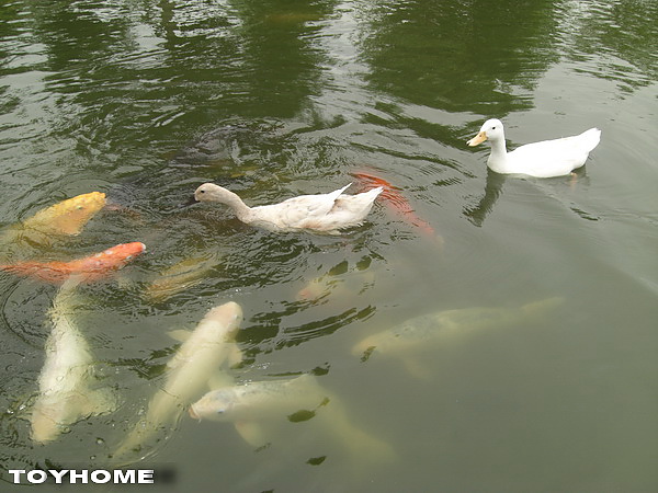 <羅東運動公園>