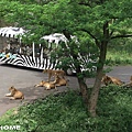 日本多摩動物園>