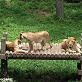 日本多摩動物園>