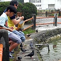 <台大校園2011/4/29>