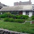 <台大校園2011/4/29>