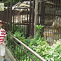 <日本多摩動物園>