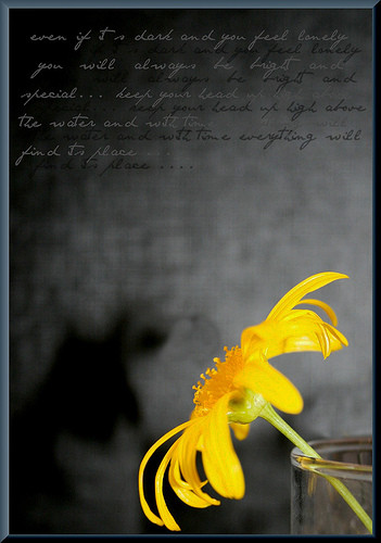 dark,flower,hope,photography,words,yellow-8c07df5de09cb88183b0fa1f690a57b6_h.jpg