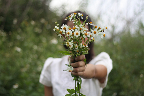 daisy,love,flowers,woman,girl,bouquet-9dd62d163eaea994e94cadf108473767_h.jpg