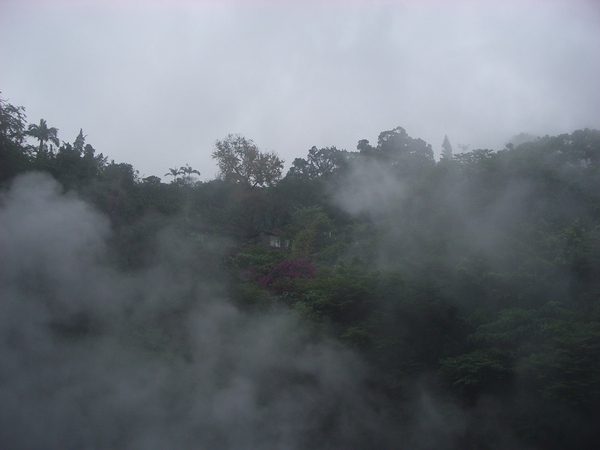 地熱谷蒸氣煙霧瀰漫的景色