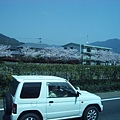 櫻花和小白車