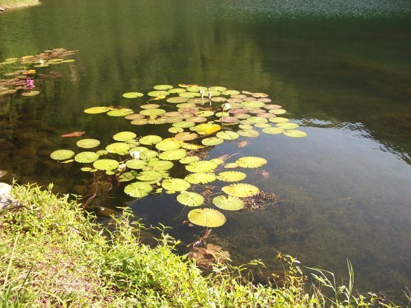 龜山島島尾湖