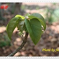 IMG_1960.JPG
