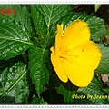 DSC00016.JPG
