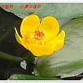 DSC03991-crop.JPG