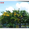 DSC06720