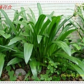 DSC00035