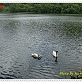 DSC00665.JPG