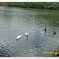 DSC00668.JPG