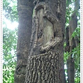 DSC06220.JPG