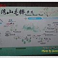 DSC00360.JPG