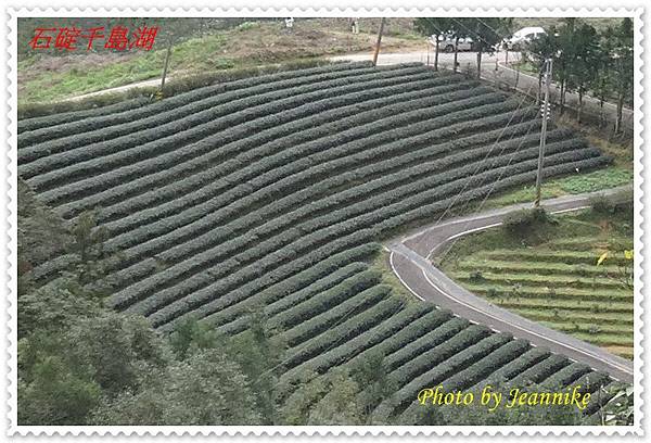 DSC08988.JPG DSC08988.JPG