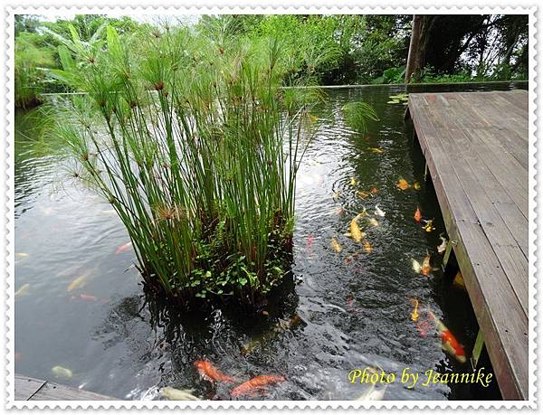 DSC09485.JPG DSC09485.JPG