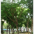 DSC00347.JPG