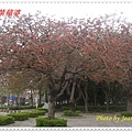 IMGP2902.JPG