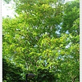 DSC00153.JPG
