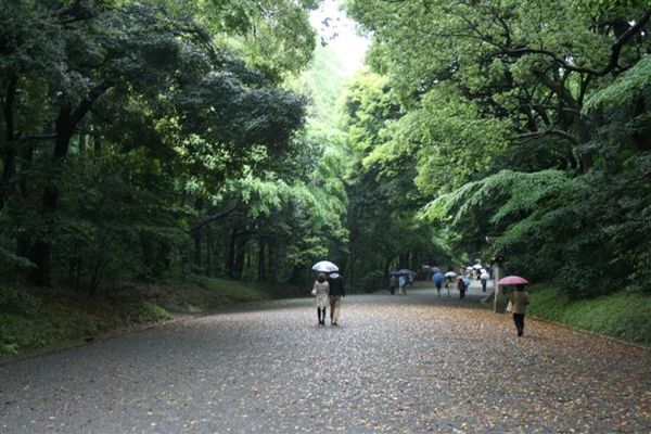 明治神宮外小徑