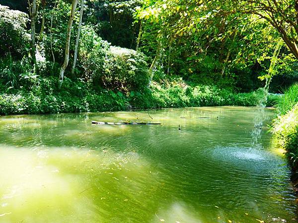 P1060330.JPG P1060330.JPG