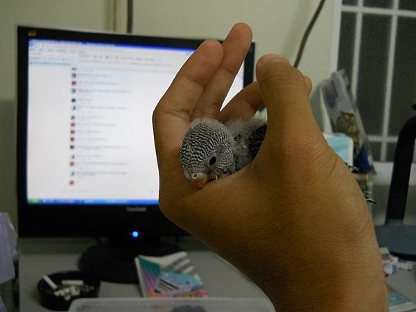 DSCN0318.JPG
